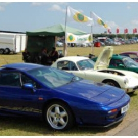 Just a few of the Historic Lotus Club cars at Snetterton