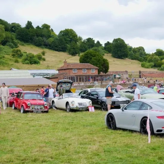 Mega Meet 